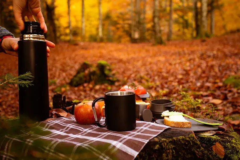 Kampingiem po Mazurach jesienią – grzybobranie i kolory